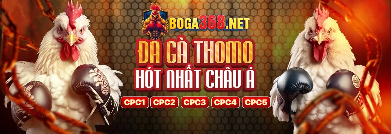 Giao diện hướng dẫn đặt cược thể thao từng bước trên bi88 casino