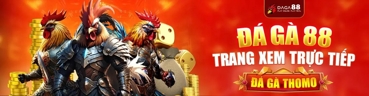 Hình ảnh minh họa bảo vệ dữ liệu người dùng của bi88 casino theo GDPR