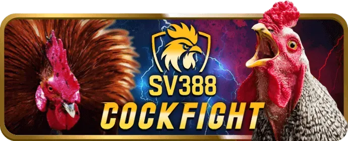 Hướng dẫn chơi Bắn Cá bi88 casino